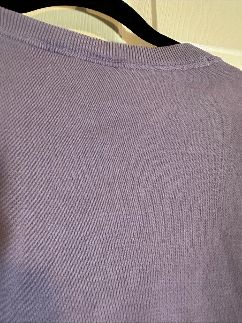 adidas Women Lavender Crewneck Sweatshirt